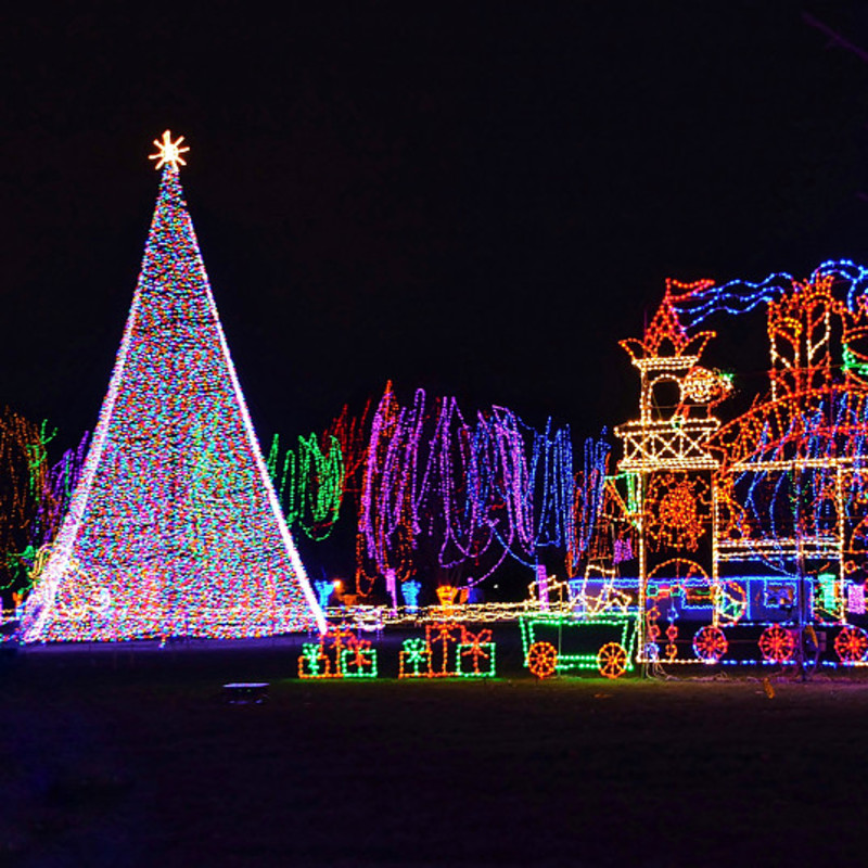 Le luci di Natale sono luci natalizie occidentali che le persone decorano sugli alberi di Natale.